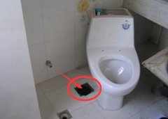 称“舌尖上的中国”